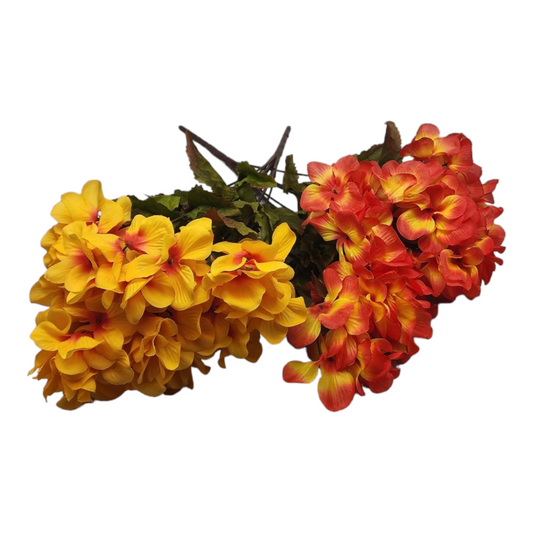 Hortensia d'automne