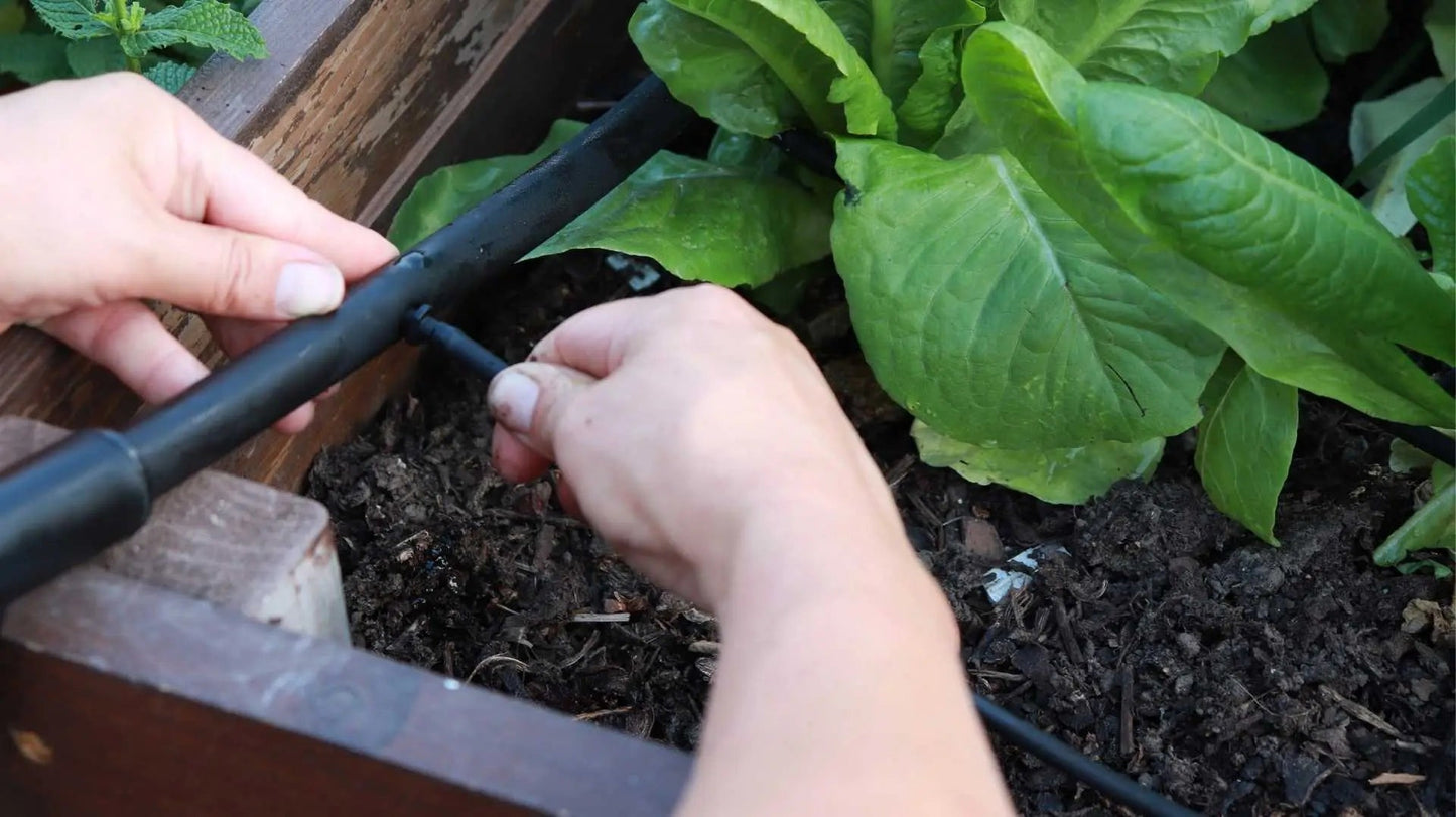 Watering - Raised Bed Drip Irrigation Kit