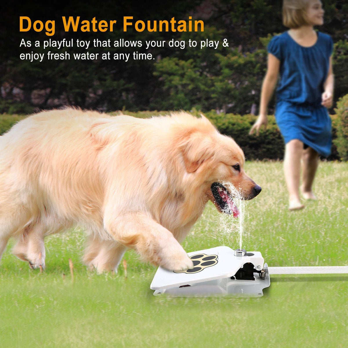 Outdoor Dog Water Fountain step-on activated white water dispenser with paw print in grass on Tampa Home & Garden Store
