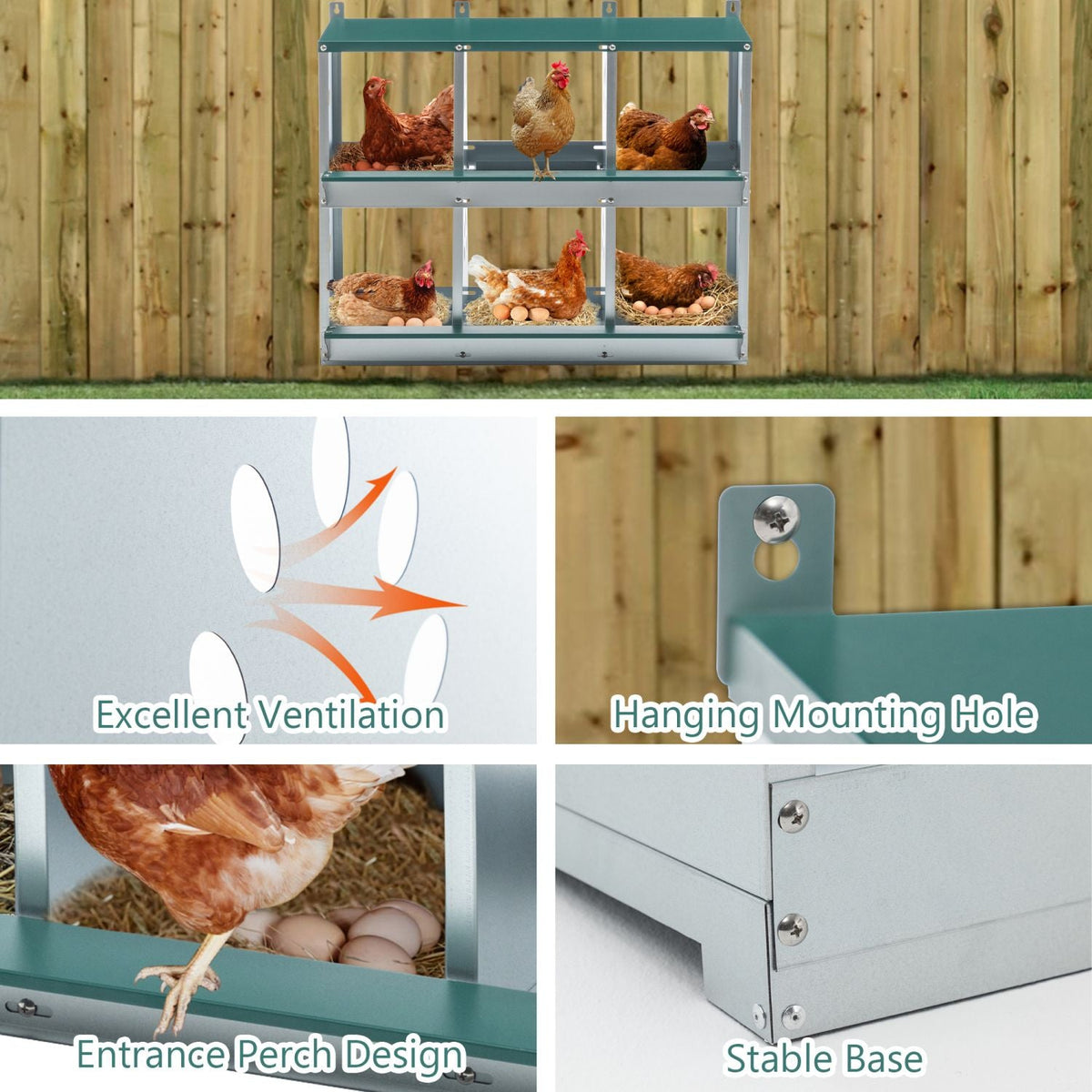 Mercantile Mountain 6-Room Galvanized Steel Chicken Nesting Box hen coop with six nesting bays on Tampa Home & Garden Store