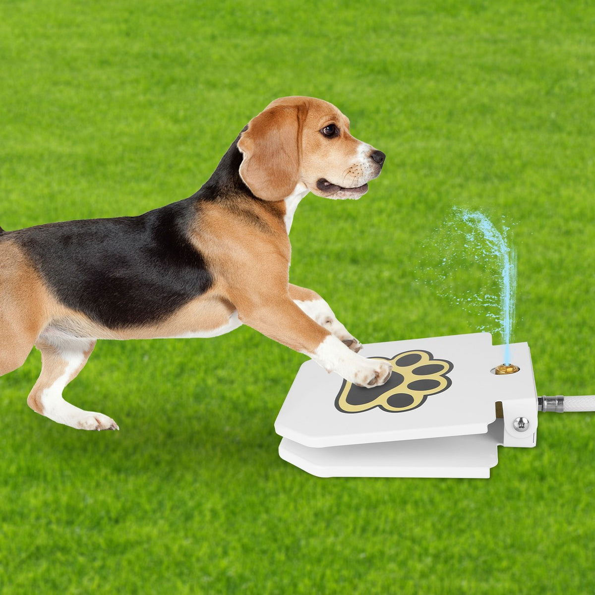 Outdoor dog water fountain step-on dispenser, white with paw print, Mercantile Mountain on Tampa Home & Garden Store