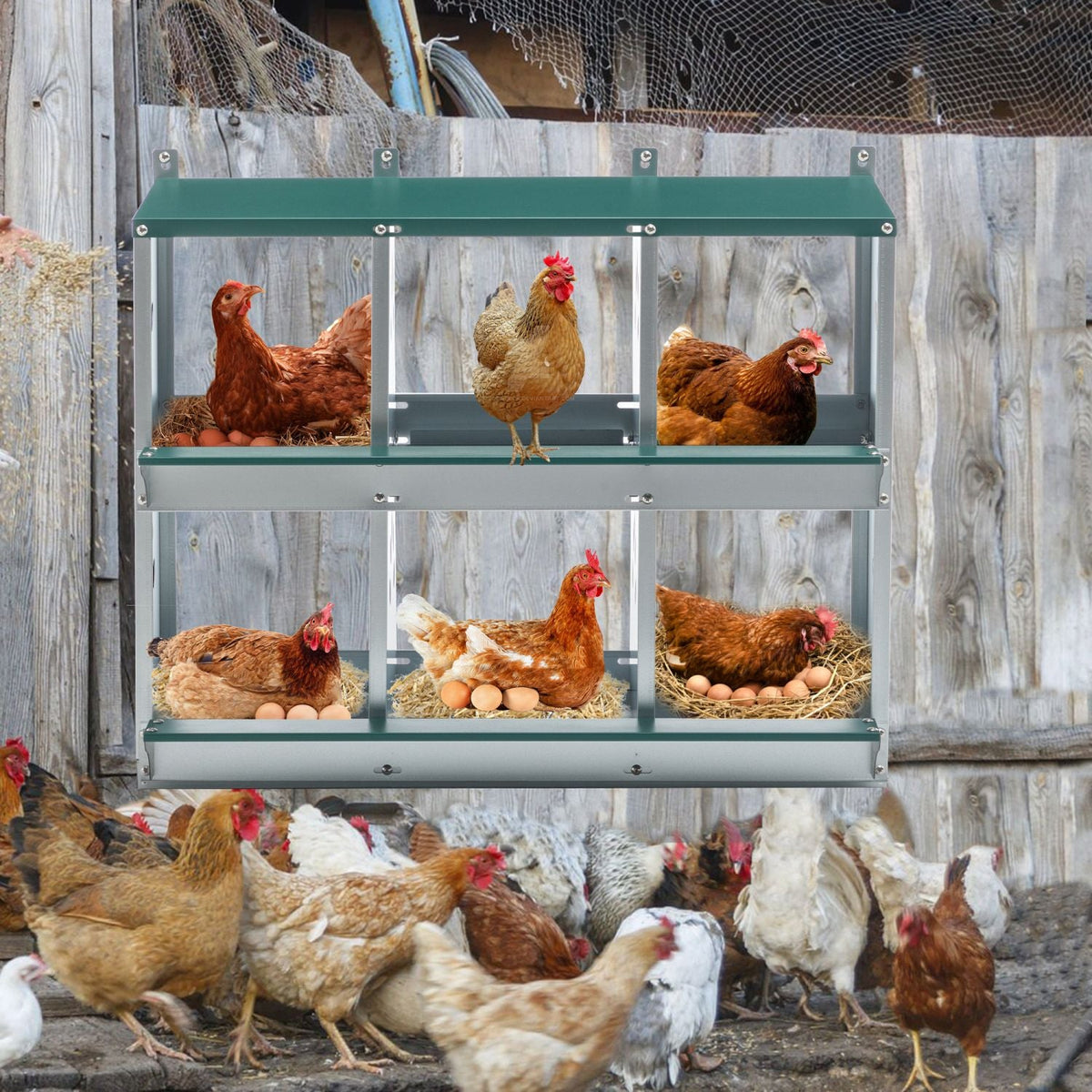 6-Room Metal Chicken Nesting Box Mercantile Mountain galvanized steel hen coop with green top on Tampa Home & Garden Store