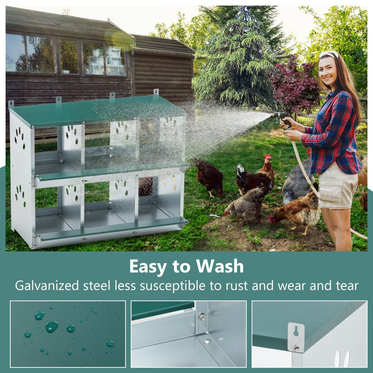 6-Room metal chicken nesting box, galvanized steel hen coop with teal top panels on Tampa Home & Garden Store