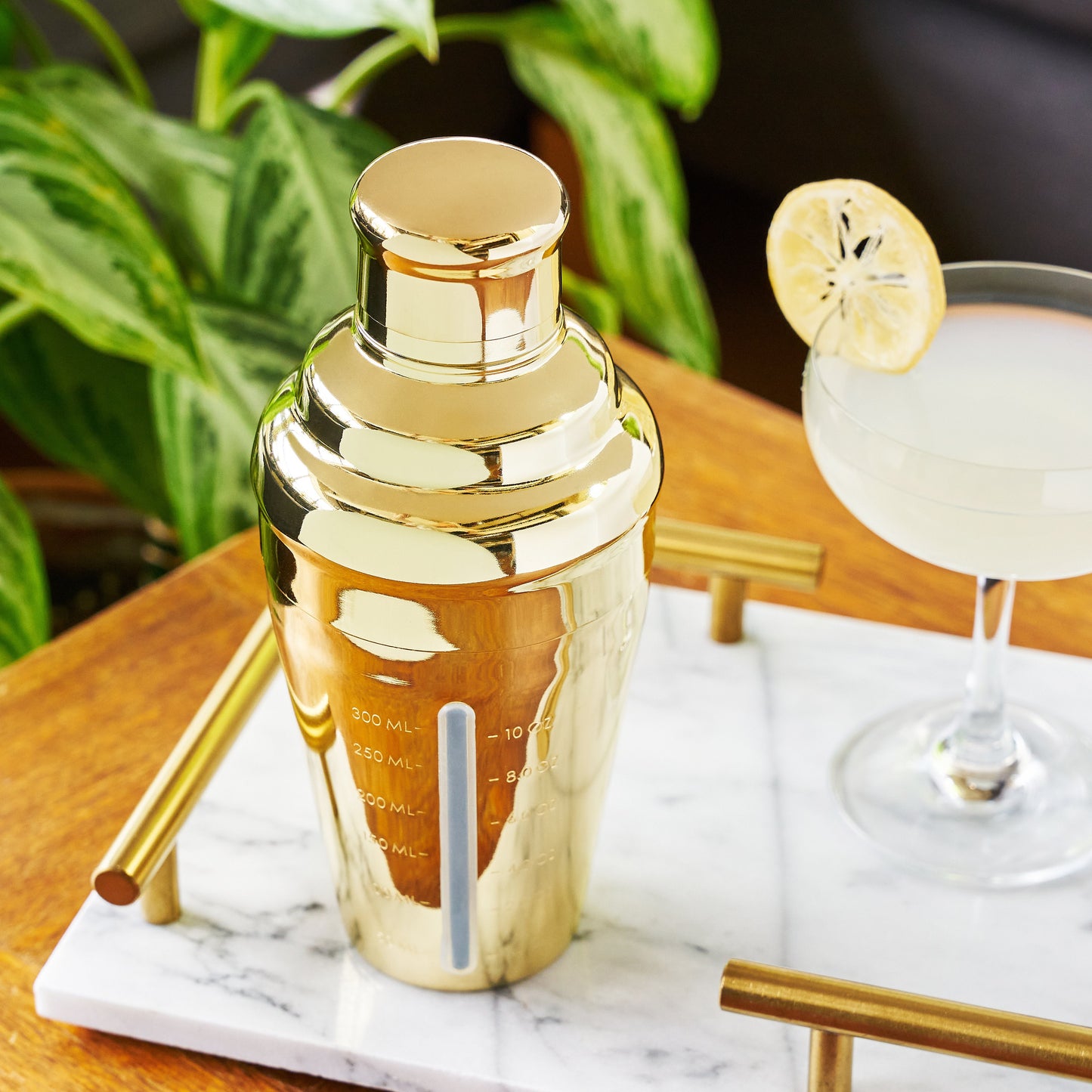 Gold and Measured Cocktail Shaker for Bartending