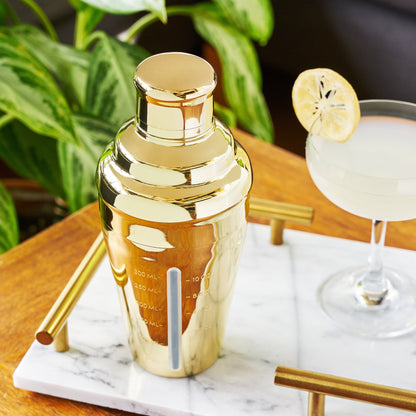 Gold and Measured Cocktail Shaker for Bartending