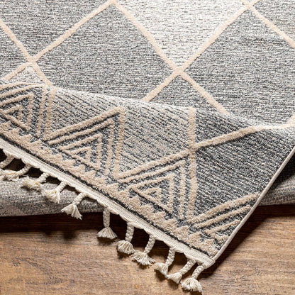 Dumlan Area Carpet rug Boutique Rugs gray beige diamond motif with tassel fringe on Tampa Home & Garden Store