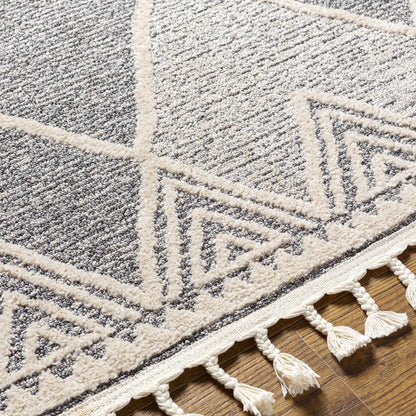 Dumlan Area Carpet by Boutique Rugs; gray and cream geometric rug with cream fringe on Tampa Home & Garden Store