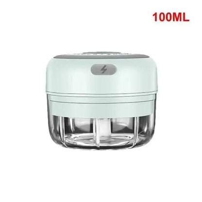 Stevvex mint green mini electric garlic press with 100ml transparent chamber on Tampa Home & Garden Store