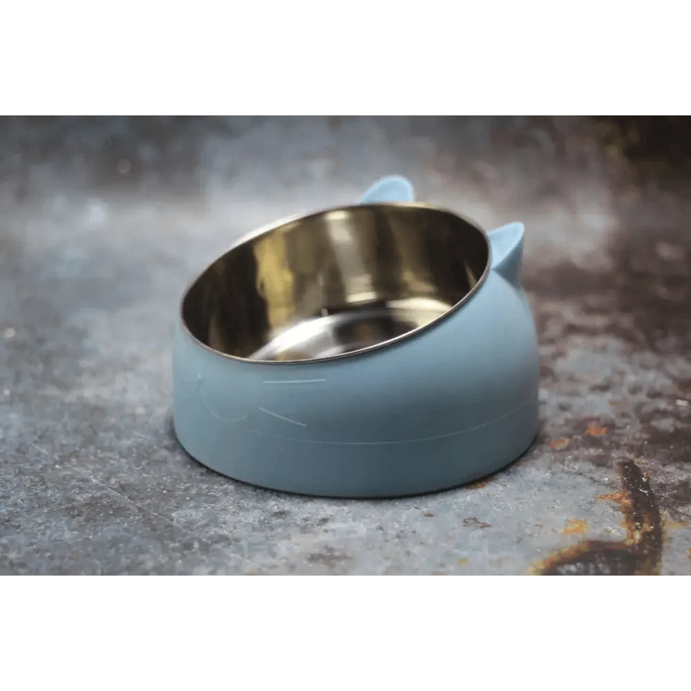 Durable stainless steel cat and dog bowl with blue silicone base by Stevvex on Tampa Home & Garden Store