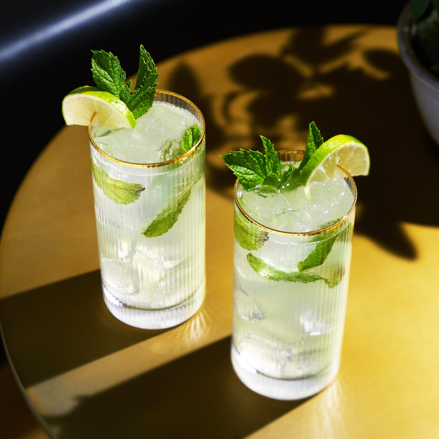 Gold Trimmed Crystal Highball Glasses Set of 2