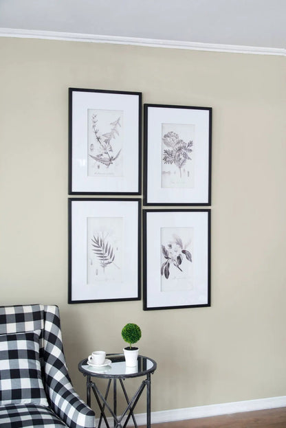 Botanical Wall Art Prints set of 4 in black frames with white mats, botanical illustrations on Tampa Home & Garden Store