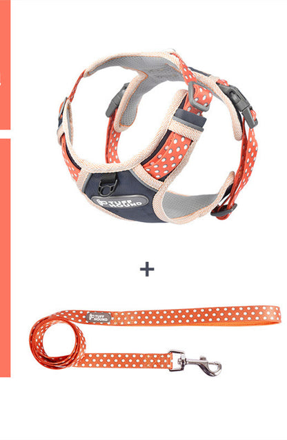 Pet Zen dog harness and orange polka-dot leash with beige trim, adjustable chest strap on Tampa Home & Garden Store