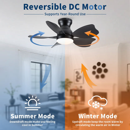 Low Profile Flush Mount Ceiling Fan With Light by HouseOfZazla, black finish, reversible DC motor on Tampa Home & Garden Store