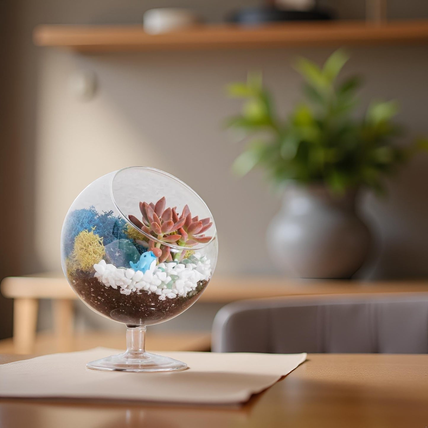 6" Glass Chalice Succulent Terrarium Kit