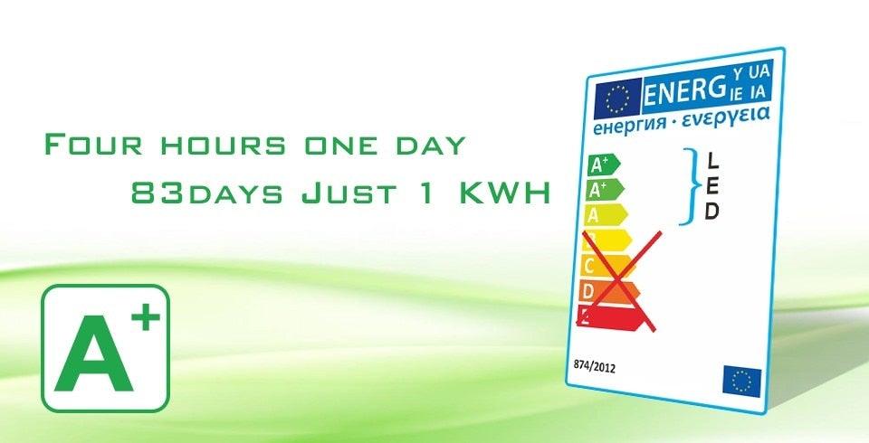 Energy efficiency label with A+ EU rating graphic on green background for LED candle bulbs on Tampa Home & Garden Store