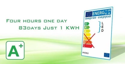 Energy efficiency label with A+ EU rating graphic on green background for LED candle bulbs on Tampa Home & Garden Store