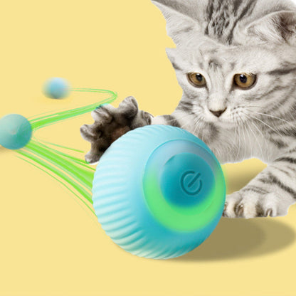 USB rechargeable rolling ball cat toy blue silicone orb, Sell My Stuff, Balls & Chasers on Tampa Home & Garden Store