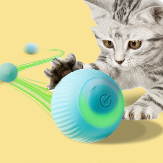 USB rechargeable rolling ball cat toy blue silicone orb, Sell My Stuff, Balls & Chasers on Tampa Home & Garden Store