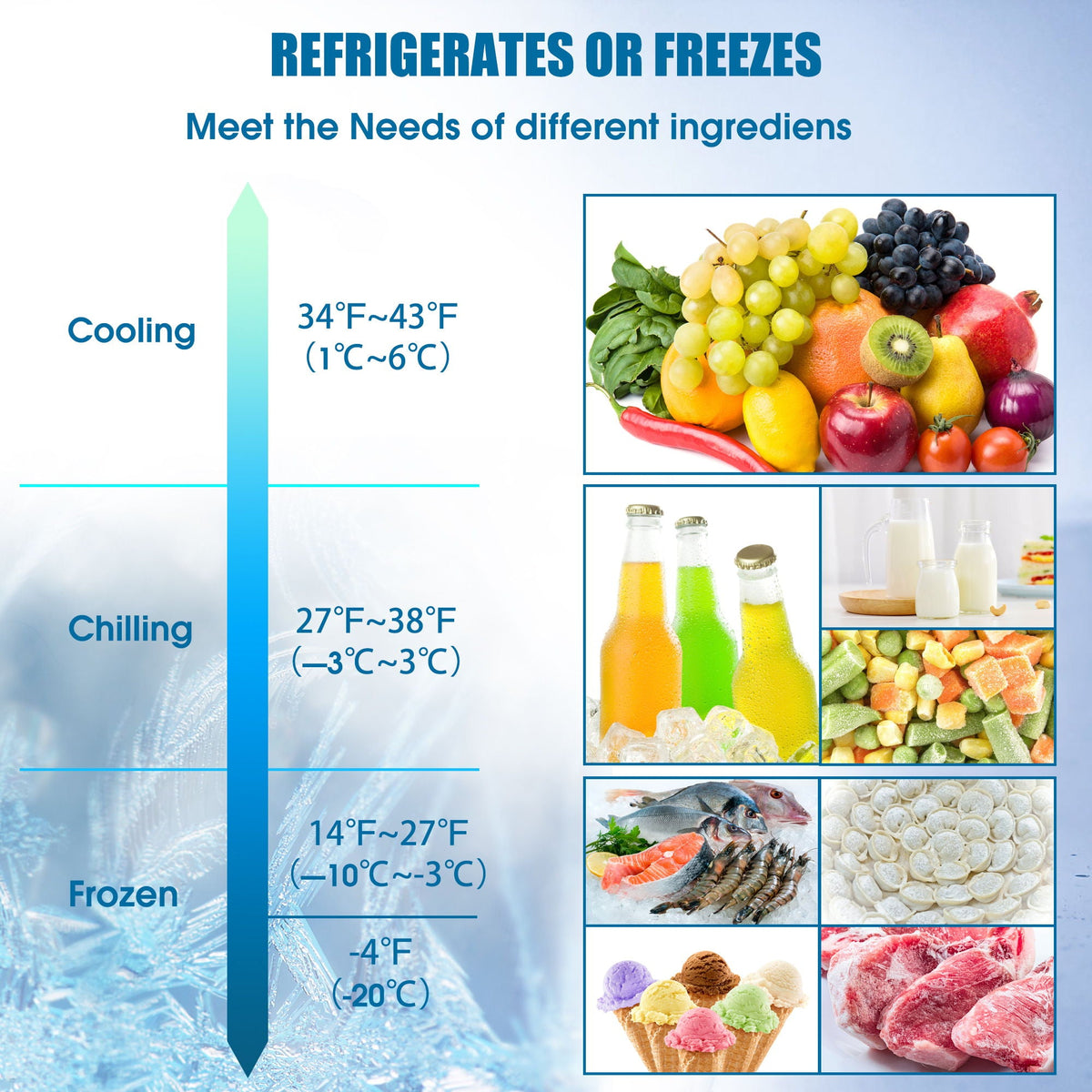 Portable freezer banner featuring fruits and drinks collage on a cooling blue background on Tampa Home & Garden Store