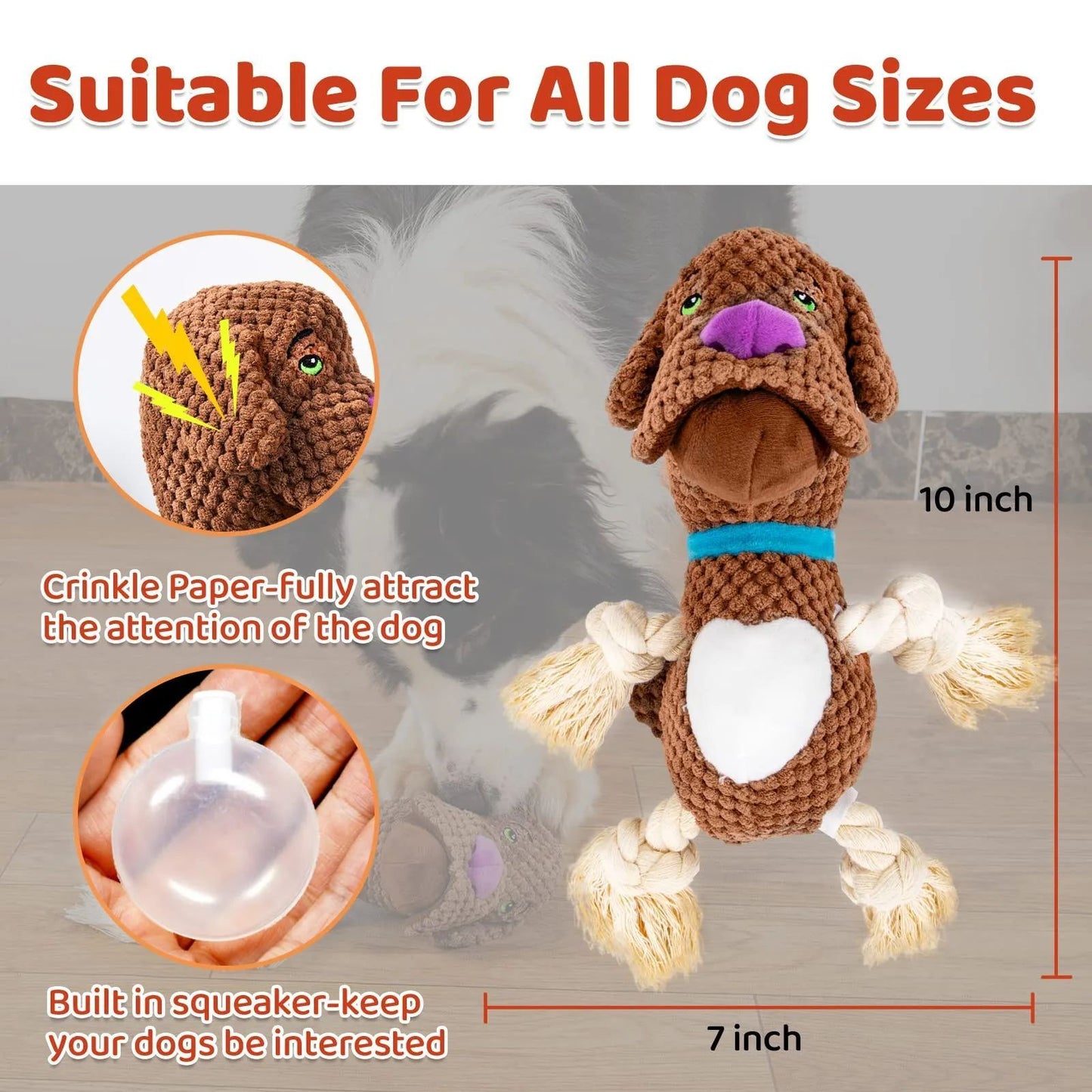 Dog plush molar shell-shaped bite-resistant toy with squeaker, brown fur, purple nose on Tampa Home & Garden Store