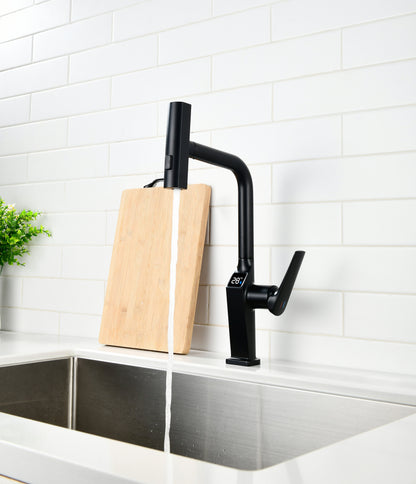 Touchless Matte Black Single Handle Faucet