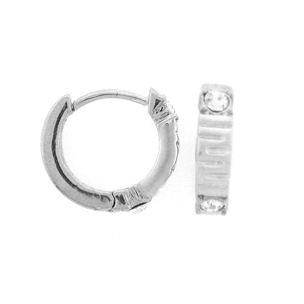 Matte Crystal Earrings hoop-style silver-tone Lauren G Adams jewelry on Tampa Home & Garden Store