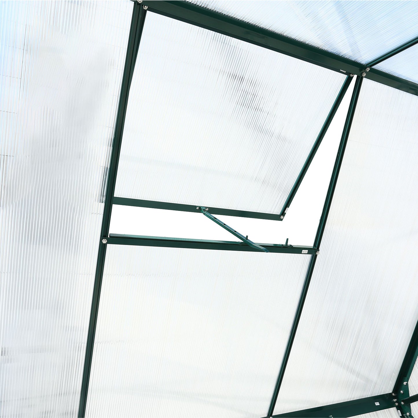 Heavy Duty Polycarbonate Greenhouse Kit and Door