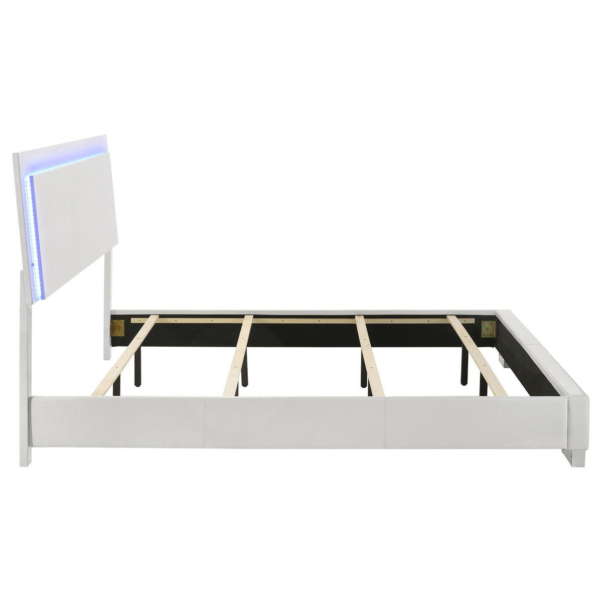 White high-gloss panel bed frame with blue LED light strip along headboard and wooden slats on Tampa Home & Garden Store