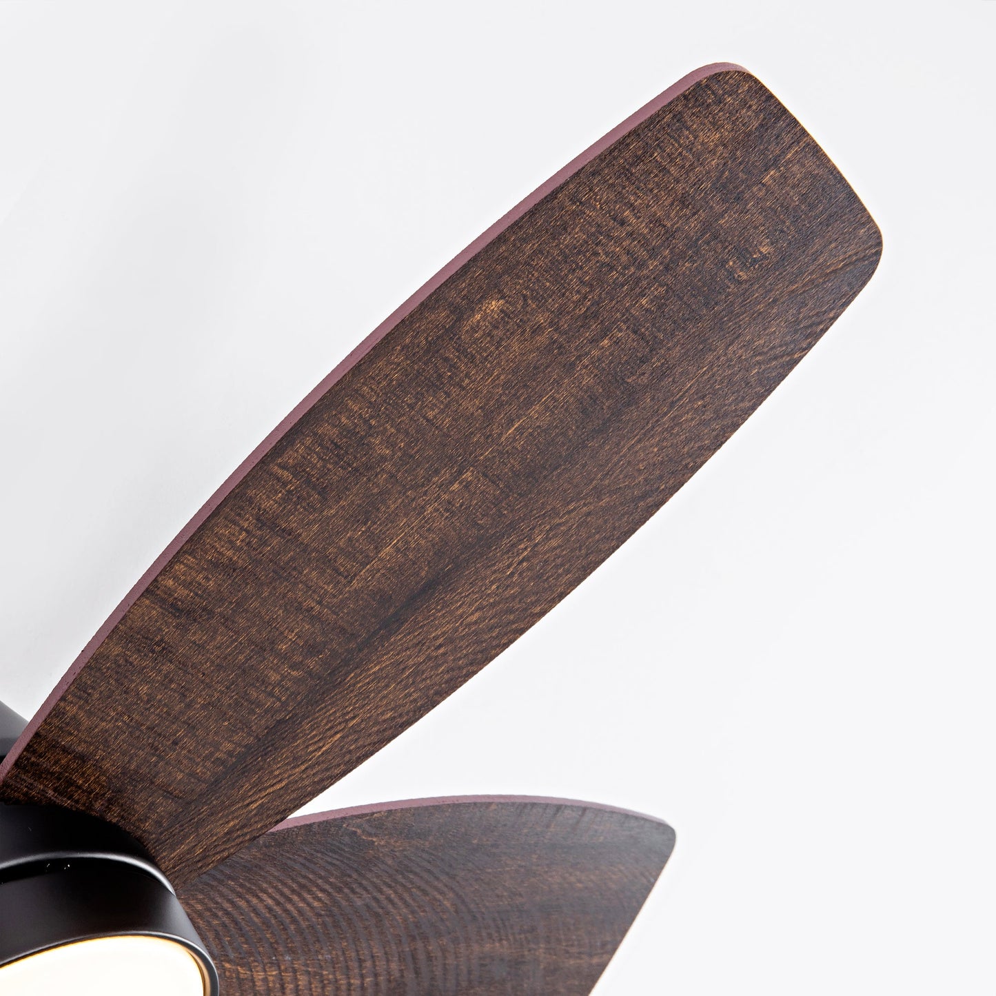 Ceiling fan blade from HouseOfZazla with dark wood grain and black motor housing close-up on Tampa Home & Garden Store