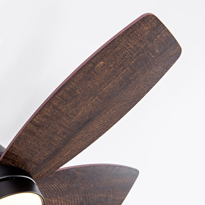 Ceiling fan blade from HouseOfZazla with dark wood grain and black motor housing close-up on Tampa Home & Garden Store