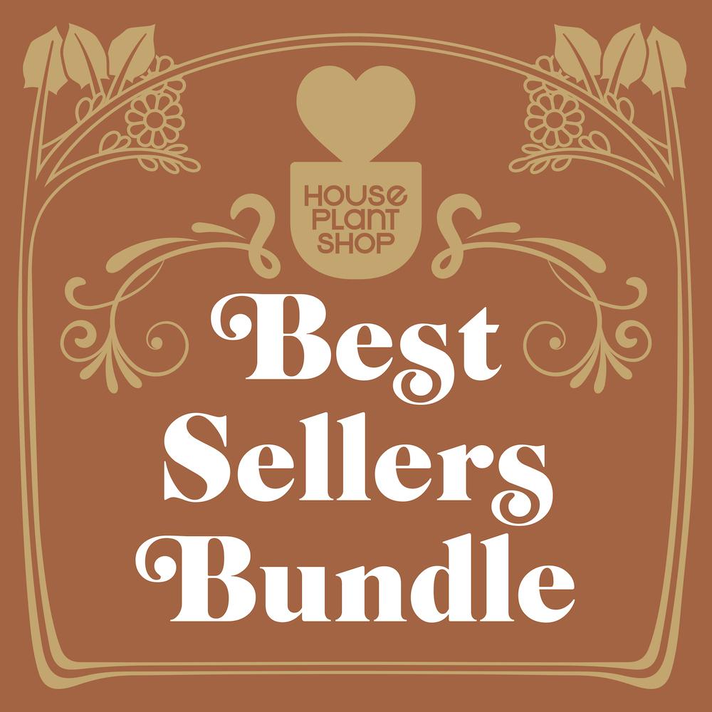 Best Sellers Bundle by House Plant Shop on brown gold decorative frame on Tampa Home & Garden Store