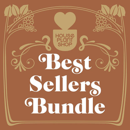 Best Sellers Bundle by House Plant Shop on brown gold decorative frame on Tampa Home & Garden Store