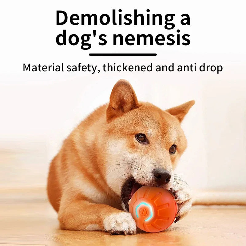 Smart Dog Toy Ball by Sell My Stuff, orange interactive USB ball for puppies on Tampa Home & Garden Store