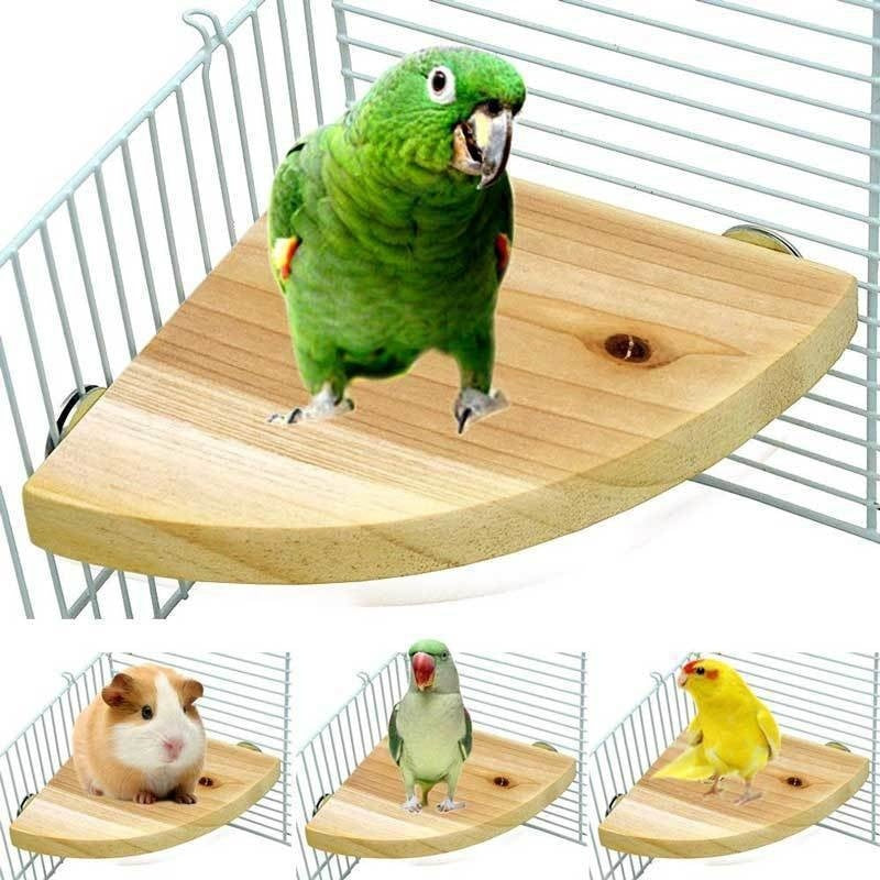 Solid wood bird cage jumping platform perch with curved deck natural finish set of 4 on Tampa Home & Garden Store