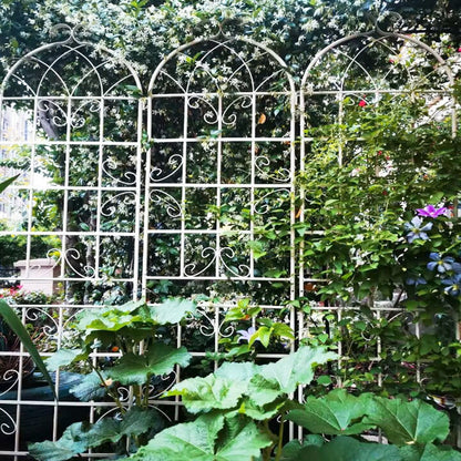 Metal Trellis For Climbing Plants And Vines