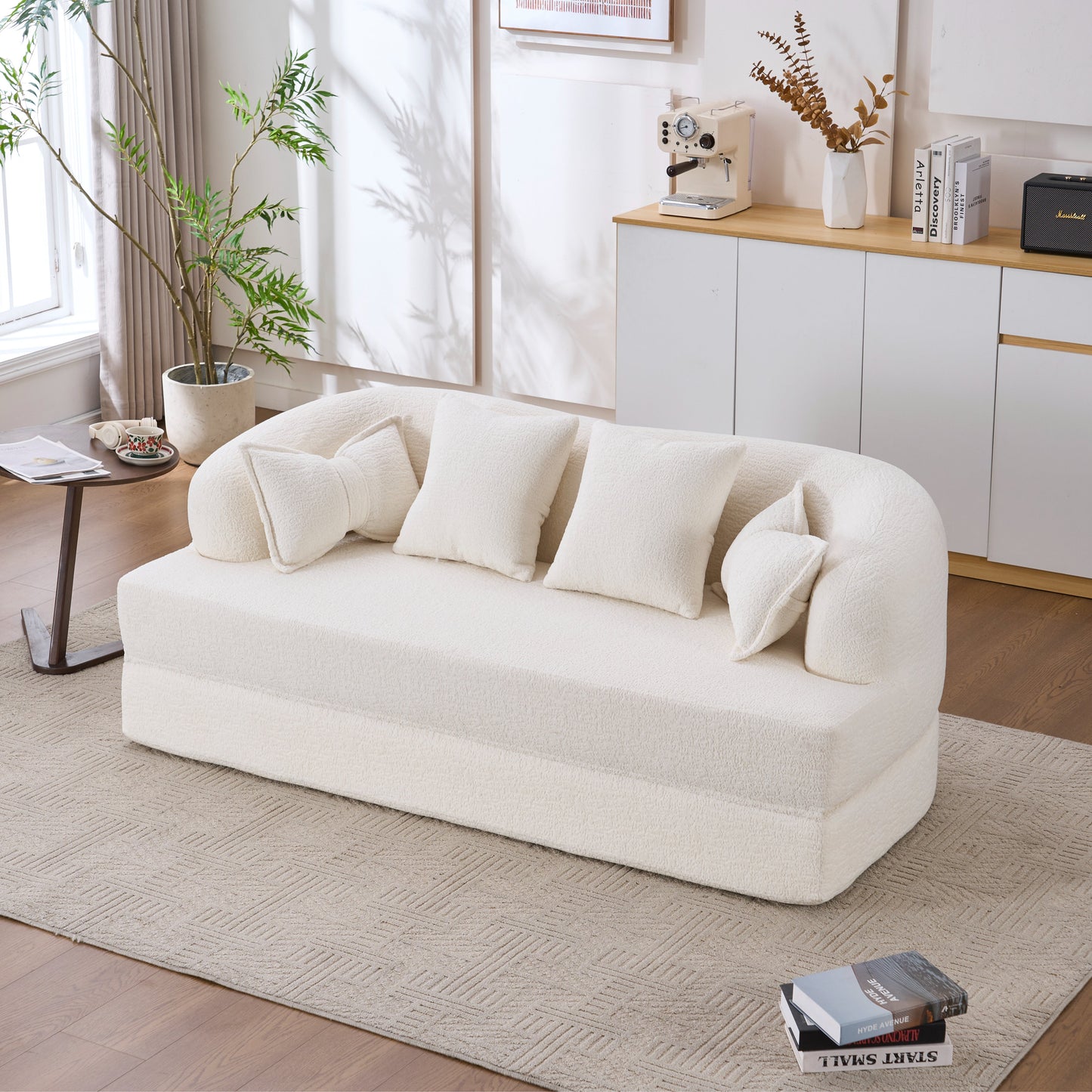 Stylish Foldable Sofa Bed and Supportive Pillows