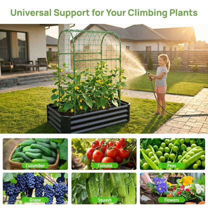 Outdoor Raised Garden Bed and Trellis Planter