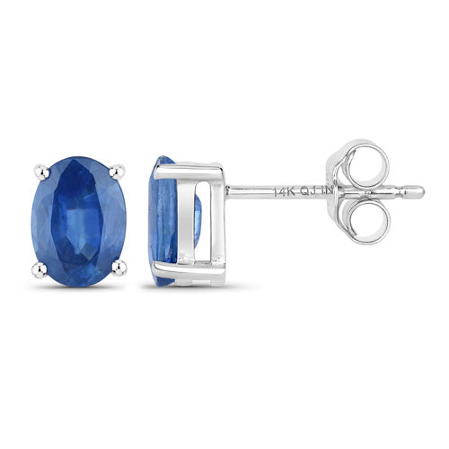 Earrings 1.90ct oval blue sapphire in 14K white gold prong-set stud on Tampa Home & Garden Store