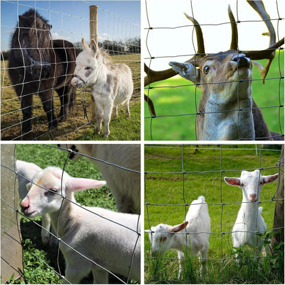 Farm Fence 3ft x 164ft heavy zinc-coated cattle wire fencing four-view collage with livestock on Tampa Home & Garden Store