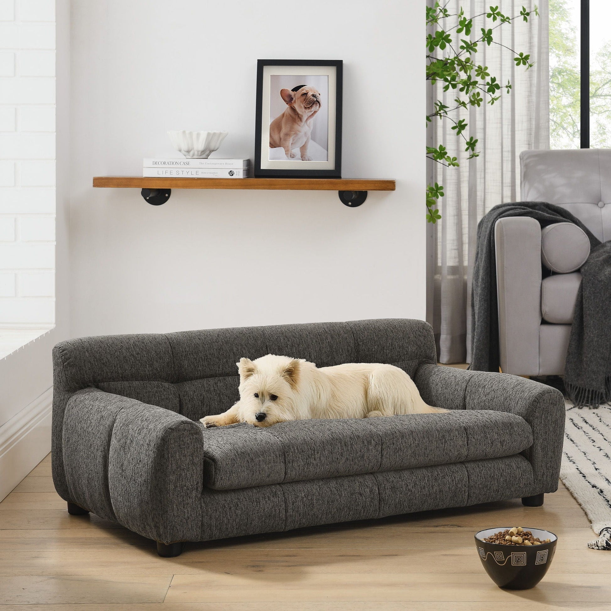 Modern Pet Sofa With Backrest And Armrests dog bed in charcoal gray fabric with a resting dog on Tampa Home & Garden Store
