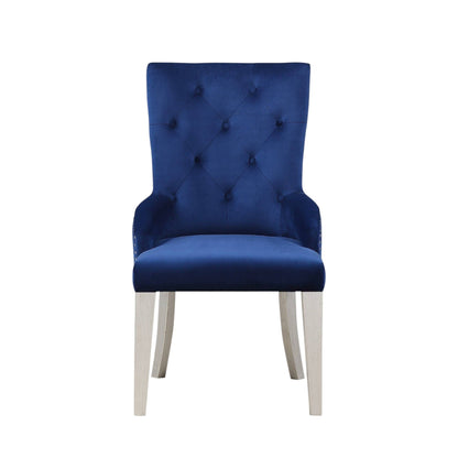 Blue Varian high-back side chair with tufted velvet upholstery by HouseOfZazla on Tampa Home & Garden Store