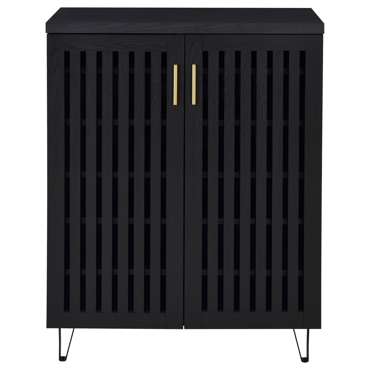 Clackamas 2-Door Storage Cabinet black with gold handles, adjustable shelves HouseOfZazla on Tampa Home & Garden Store