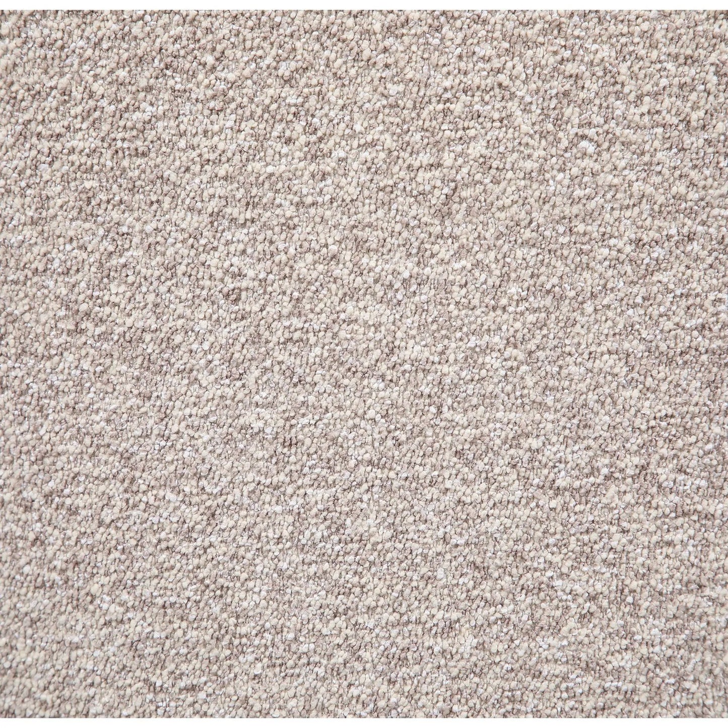 Beige carpet texture close-up with dense plush fibers on Tampa Home & Garden Store