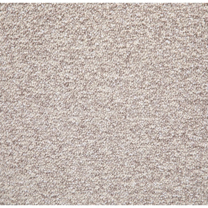 Beige carpet texture close-up with dense plush fibers on Tampa Home & Garden Store