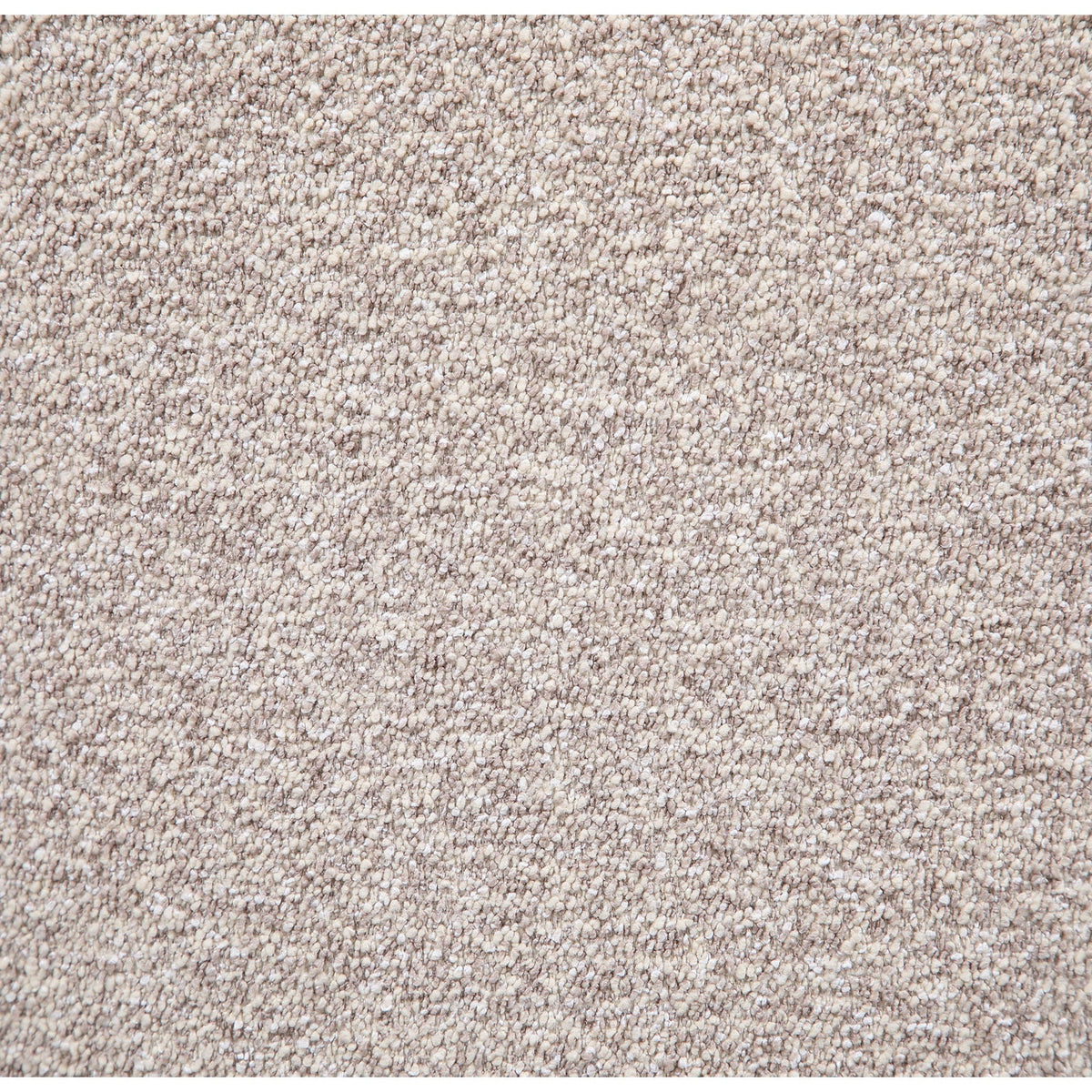Beige textured carpet close-up with loop pile fibers, neutral backdrop for product images on Tampa Home & Garden Store