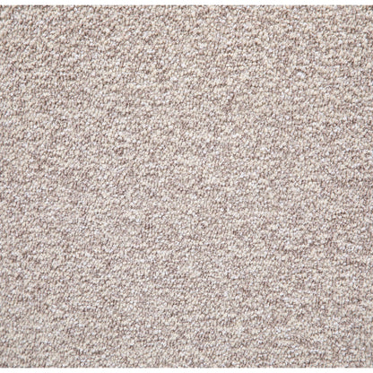 Beige textured carpet close-up with loop pile fibers, neutral backdrop for product images on Tampa Home & Garden Store
