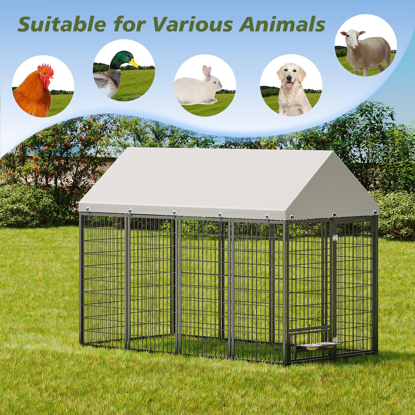 Large Outdoor Dog Kennel for Backyard and Patio