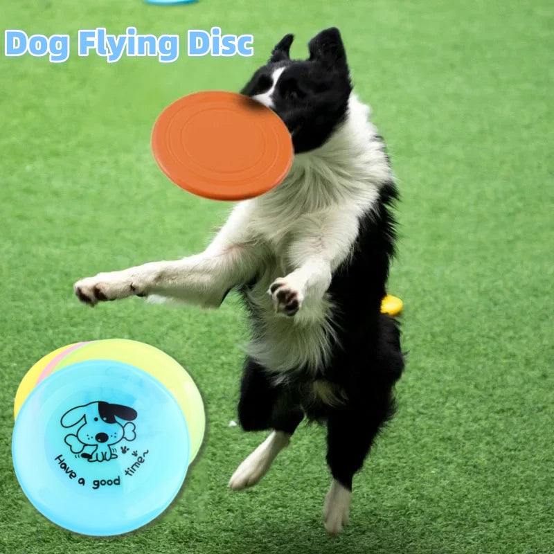 Orange silicone dog flying disc caught by a jumping border collie; colorful discs on grass on Tampa Home & Garden Store