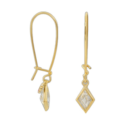 Dazzling Drops earrings pair in gold-tone with crystal teardrops by Lauren G Adams on Tampa Home & Garden Store
