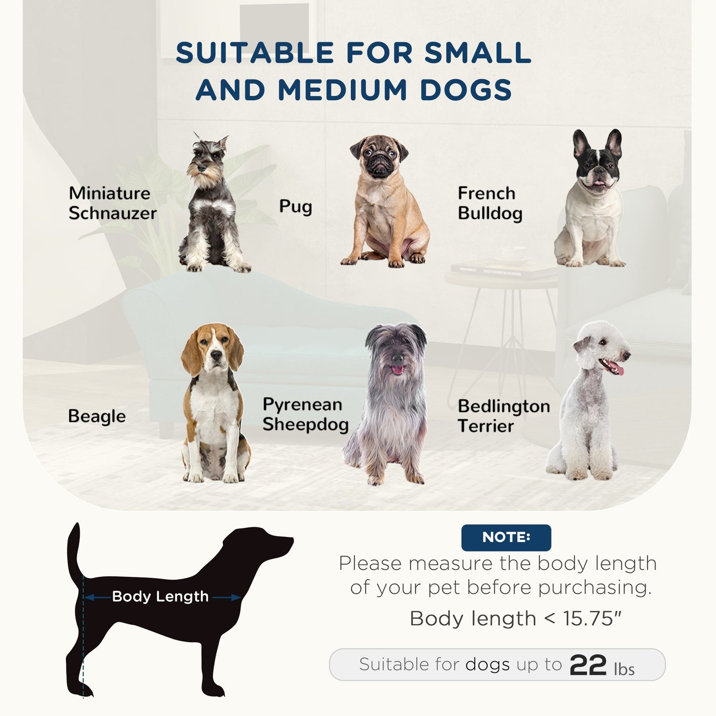 PawHut Elevated Pet Sofa Bed for Small and Medium Dogs by HouseOfZazla with multiple dog breeds on banner on Tampa Home & Garden Store
